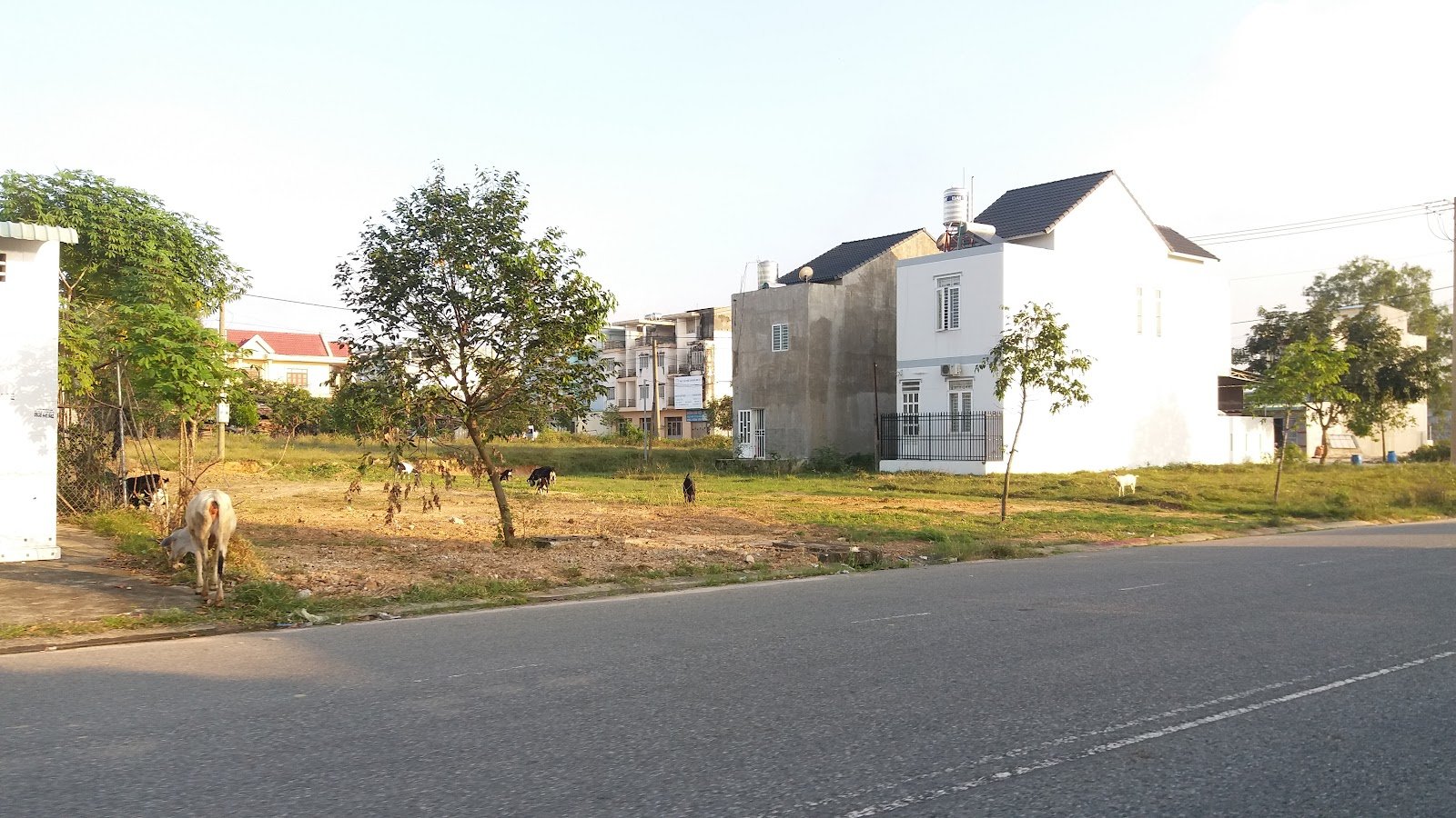 phong thủy bất động sản