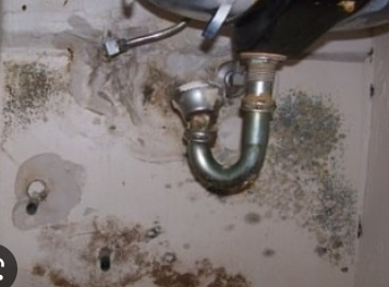 Giải pháp chống thấm nhà vệ sinh hiệu quả ngăn ngừa ẩm mốc