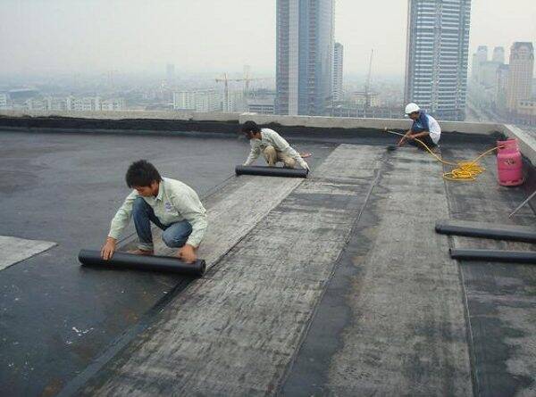 fcc724653c6ea737590ee699952a2c6e